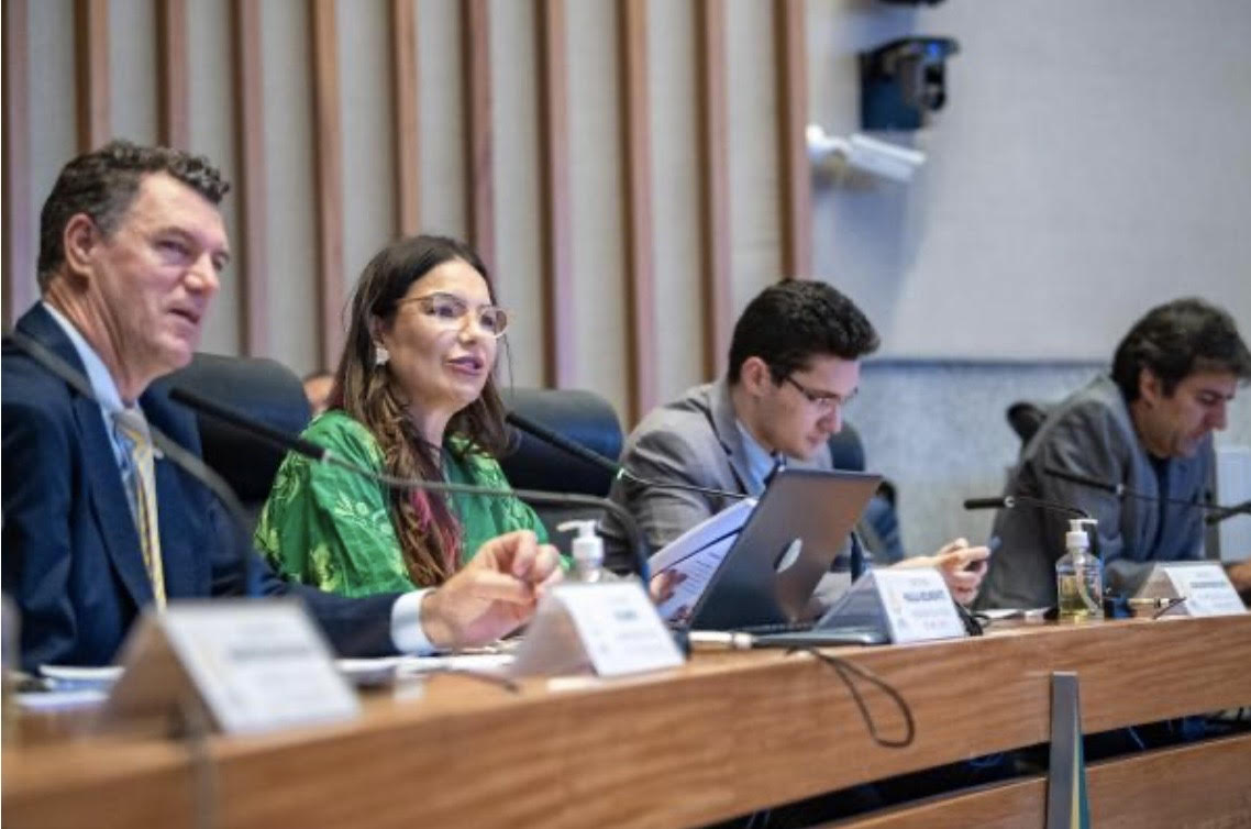 Leia mais sobre o artigo Relatório final da CPI apresenta plano para revitalizar o Rio Melchior