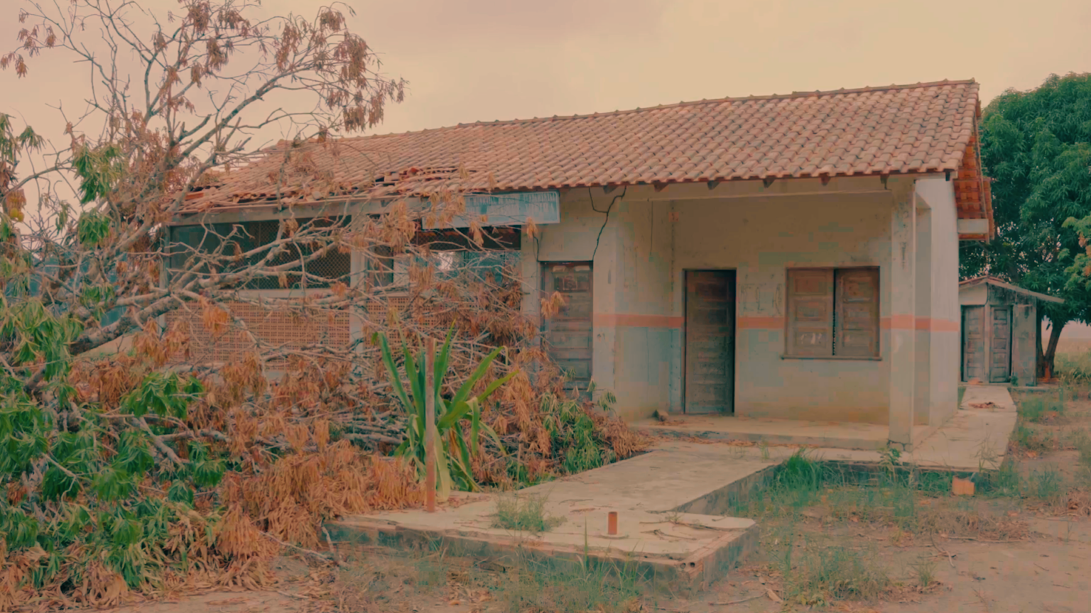 Leia mais sobre o artigo CRIME – Brasil perde 111 mil escolas do campo em 24 anos: “Estão matando a vontade do jovem ficar”