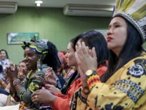 Leia mais sobre o artigo Mulheres quilombolas se reúnem em Brasília para discutir sobre territórios, clima e direitos