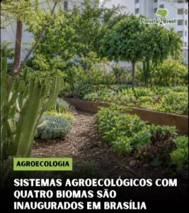 Leia mais sobre o artigo Cultiva Lab transforma área no centro de Brasília em laboratório vivo de educação ambiental