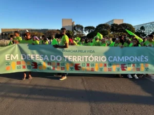 Leia mais sobre o artigo “Sem campesinato não há vida”, afirma movimento de trabalhadores do campo durante marcha em Brasília